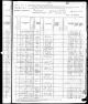 Census NY 1880 for Peter MCGLYNN age 27 and family: