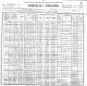 Census NY 1900 for Peter MCGLYNN age 50 and family: