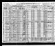 Census NY 1910 for Peter MCGLYNN age 53 and family: