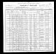 1900 IA Census for James SPEVACK age 29 (Carpenter) and family: