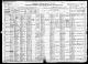 1920 IL Census for the OLSON and HAVEL families.