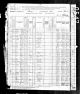 1880 Census for Michael NOLAN age 40 and family: