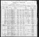 1900 IL Census for Edmund RYAN age 45 and family: