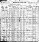 1900 IL Census for John Ryan age 30 and family: