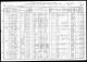 1910 IL Census for Annie SOBESLAV age 21 servant