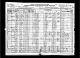 1920 IL Census for Anna SUTA age 47 and family: