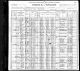 1900 IL Census for Frank ZAJICEK (Real Estate Lawyer, immigrated 1867) age 40 and family: