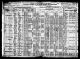 1920 IL Census for James ZAJICEK age 63 and family: