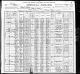 1900 IL Census for Vaclav ZAJICEK age 46 (undertaker) and family: