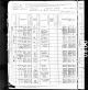 1880 IL Census for John ZAK age 43 (saloon keeper) and family: