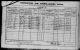 1901 Ireland Census fo Patrick RYAN (farmer) age 63 and family