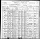 1900 NY Census for Josephine ZAJICEK (nee KRUDLOVA) age 60 (widowed says she has had 12 children and 5 are living) and family: