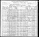 1900 PA Census for James DOUGHERTY age 45 widowed (laborer)and family: