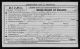 Birth Cert - IL - LEAHY, Timothy 1881.jpg