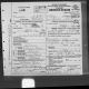 Death Cert - IL - OLSON, William Jr 30 Jul 1917.jpg